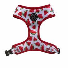 Load image into Gallery viewer, Juicy Watermelon - Adjustable Harness
